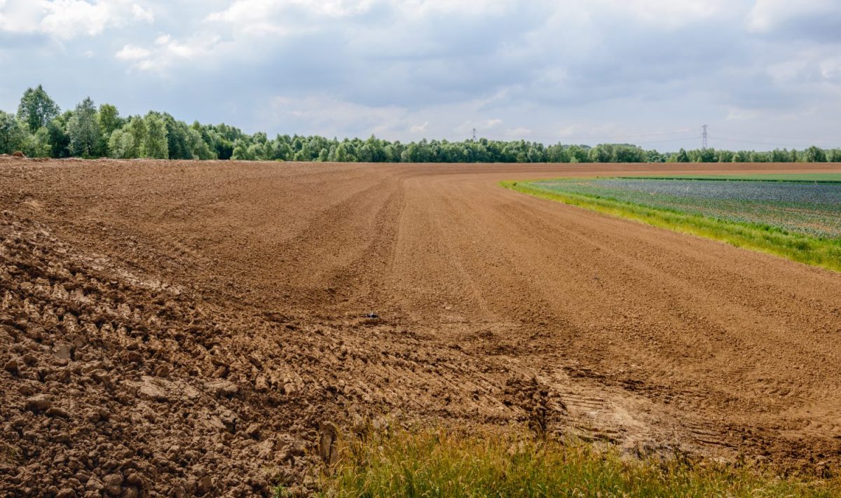 ruilplan pacht landbouwgrond bestemmingsplan bouwgrond omgevingswet toestemmingsvereiste